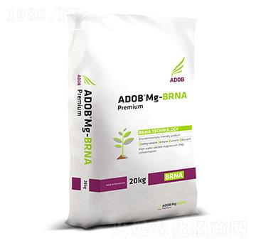 �����V-���Z-����ķ