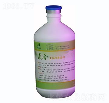 500ml��(f��)��ѿ�ߗU������Һ�w-�A��(chu��ng)���r(n��ng)