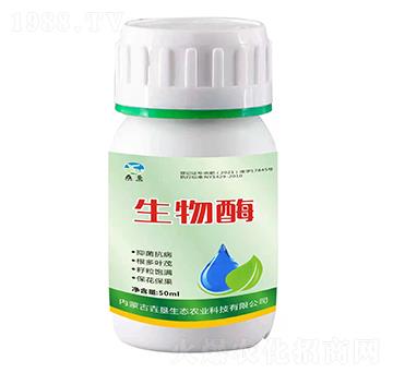 ����ø-�������B(t��i)