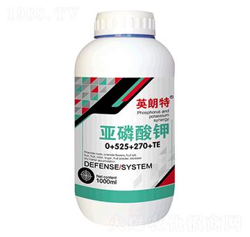 �������0-525-270+TE-Ӣ����