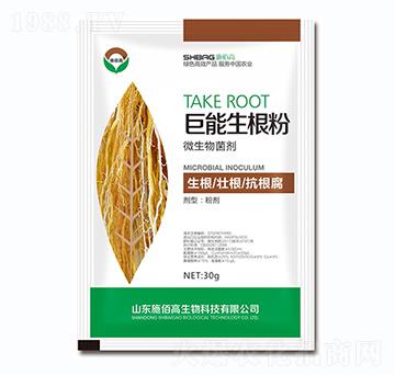 ΢�������-����������-ʩ�۸�