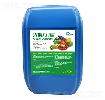 5-������������-�����I��-������