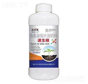 ������-���һ��-���r(n��ng)���