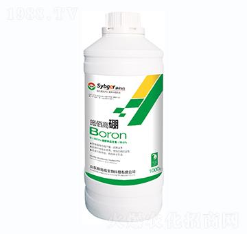 1000gʩ�۸���-ʩ�۸�