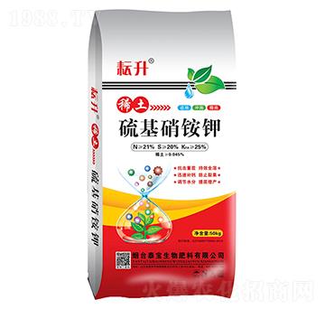 ������@�21-20-25-̩������