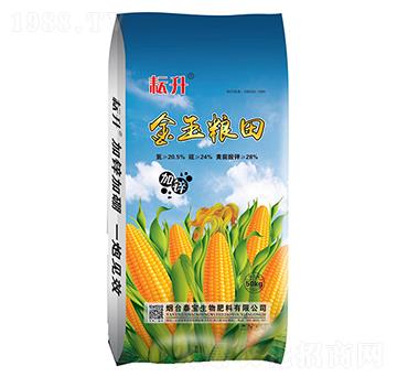 ����Z��-̩������