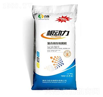 ��(f��)��΢�������-������-��������