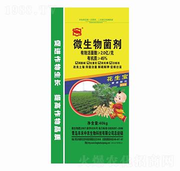 40kg΢�������-������-�S�����r(n��ng)