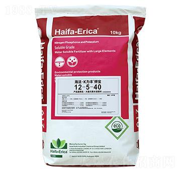 ������K���S12-5-40-���L