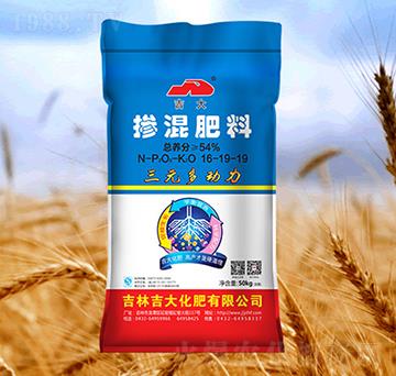 �������16-19-19-��Ԫ������-����