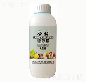 �Ǵ��V-���-��֮��