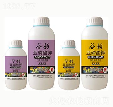 �������0-525-275+TE-���-��֮��