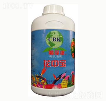 ���Ќ�-�n����