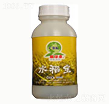 ˮ����-�n����