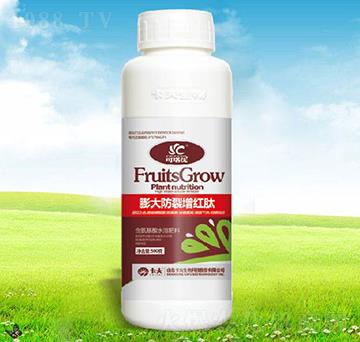 ���������t��-������