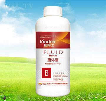 �{(l��n)��ʿ���w��-����