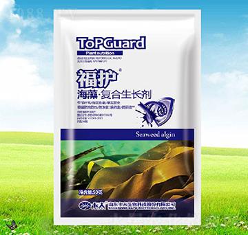 �����(f��)�����L��-���o(h��)-����