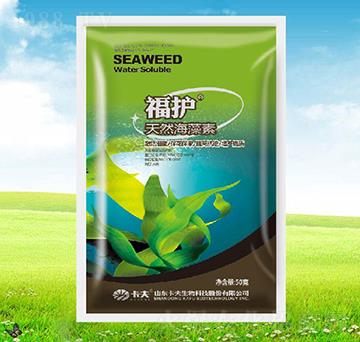 ��Ȼ������-���o-����