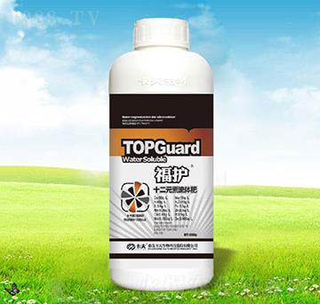 ���o(h��)ʮ��Ԫ�����w��-����