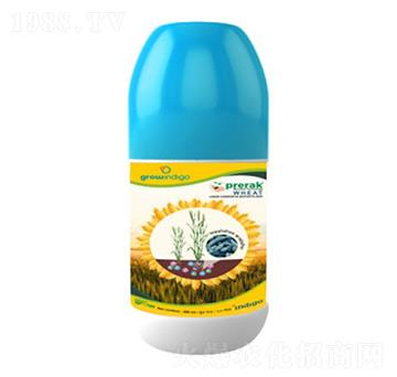 Prerak Wheat-沃格瑞