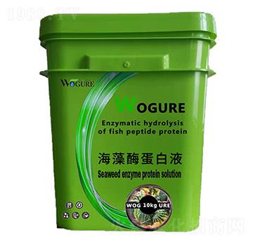 10kg����ø����Һ-�ָ���