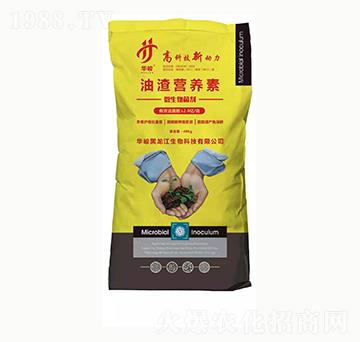 �����I�B(y��ng)��-���ϻ���