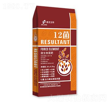 12��΢�������-��������