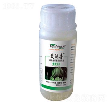 �㽶����-���_ϲ-��Ԫ