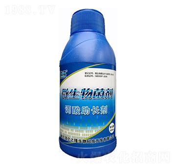 �{�����L΢�������-�|֮¡