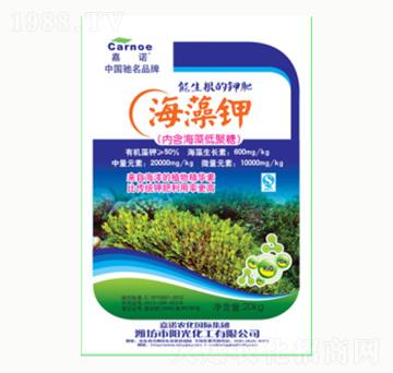 �����-ꖹ⻯��