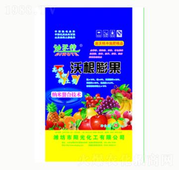 �ָ����-ꖹ⻯��