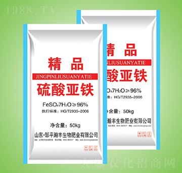 ���၆�F-��S����