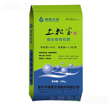 ΢�����ЙC(j��)��-���Ɍ�-�ں�����