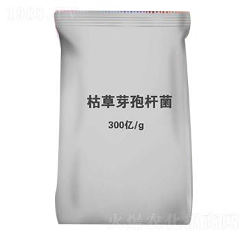 �ݲ�ѿ�ߗU��-�������