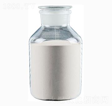 ���W(xu��)���ό��þ���-�������