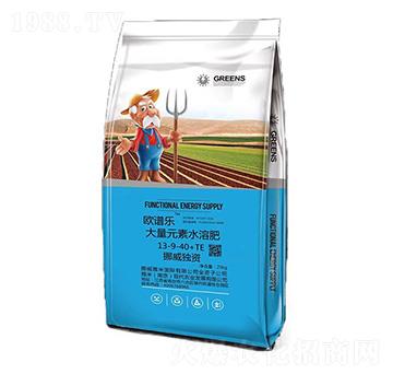 Ų�����Y����Ԫ��ˮ�ܷ�13-9-40+TE-�W�V��-����