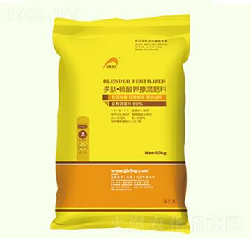 ���ġ�����⛓������-������S