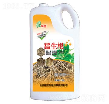 猛生根-瑞植-瑞閣邁特