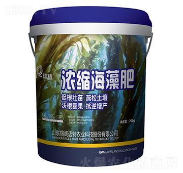 濃縮海藻肥-瑞植-瑞閣邁特