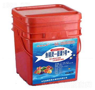 �~���`-���1̖-�ʼڵ۹�