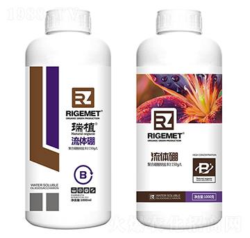 ���w��-��ֲ-���w�~��