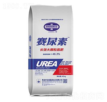 �LЧ���w������-ِ����-�л�����