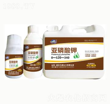 �������-��혻���