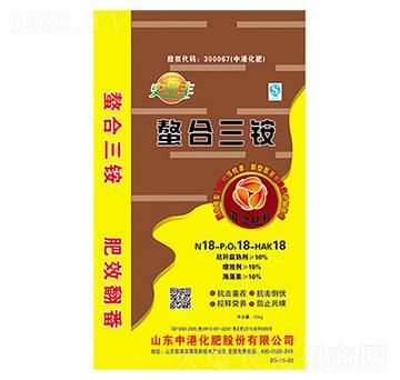 �������@��(f��)���-�иۻ�