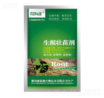 �������焩-�ú���-������