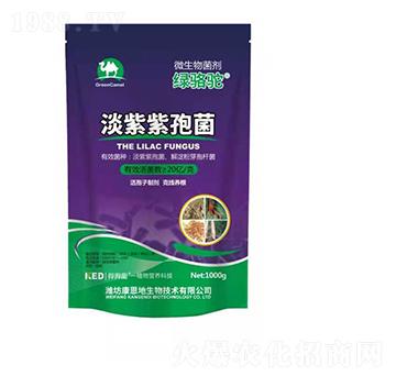 �������߾�-�G��-������