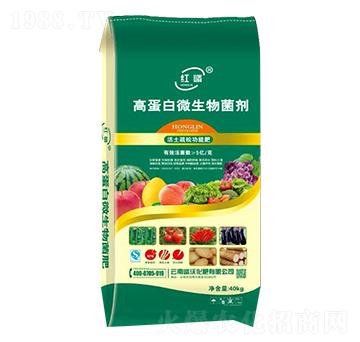 �ߵ���΢�������-����