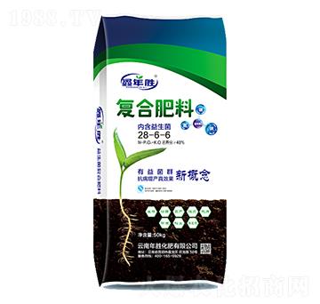 �ͺϷ���28-6-6-�����-��ٻ���