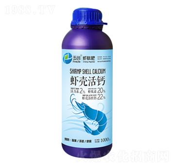 �r�����}-�儓(chu��ng)