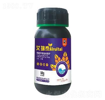 ����ƽ�����L����-����̩-�r(n��ng)ϲ����